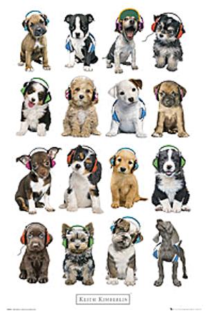 Poszter - Keith Kimberlin - puppies headphones A113/36