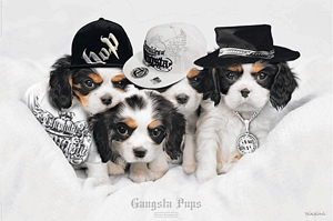 Poszter - Keith Kimberlin - Gangsta Pups A113/73