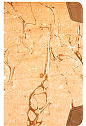 Mocha notesz (vonalas, mini)