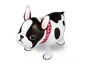 Sétáló lufi - francia bulldog