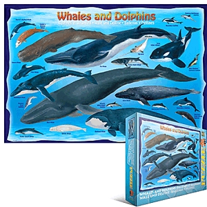 Bálnák és delfinek puzzle (100 db)