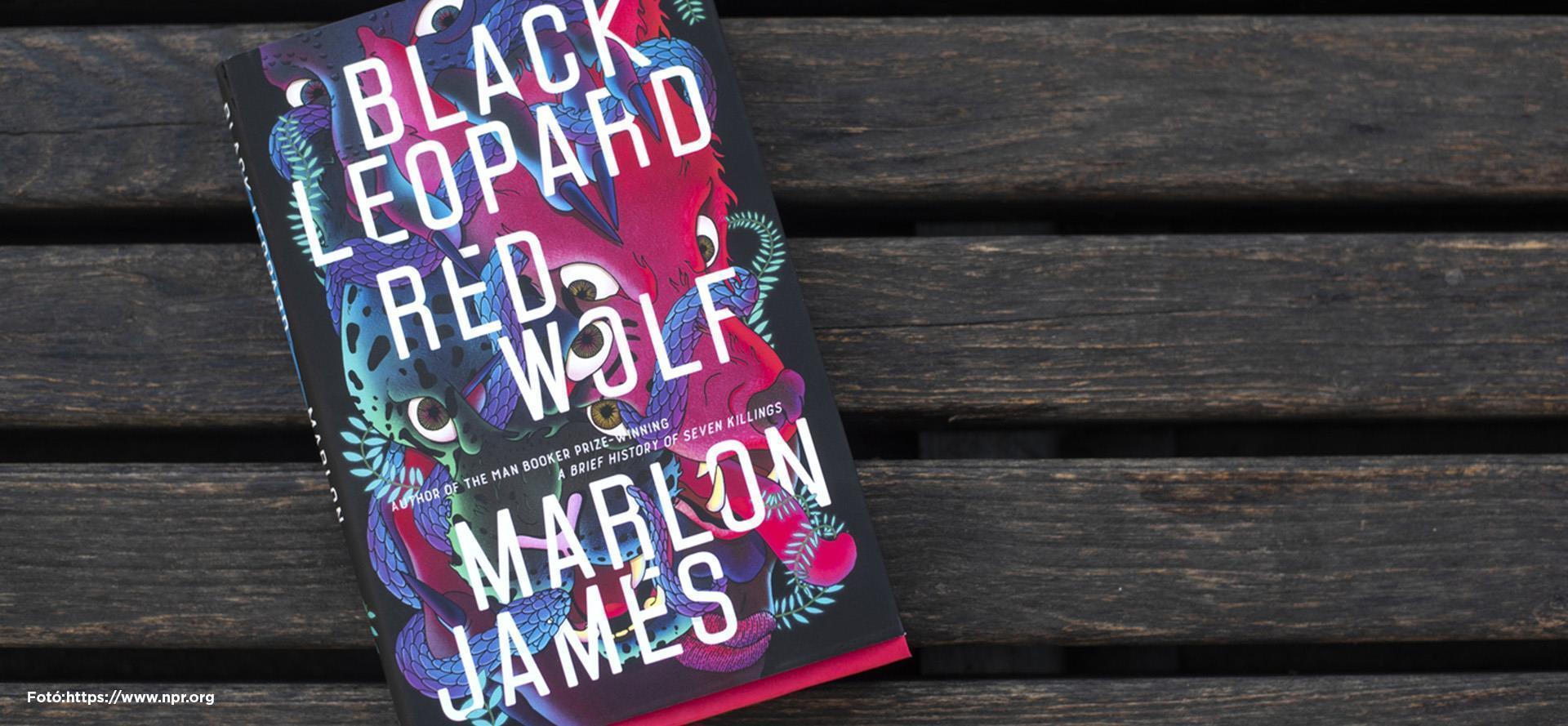 A Black Leopard, Red Wolf esélyes a National Book Awards díjára