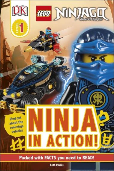 LEGO NINJAGO Ninja in Action!
