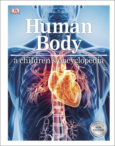 Human Body A Children"s Encyclopedia