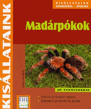 Madárpókok
