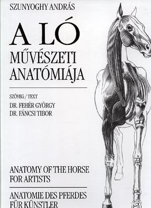 A ló művészeti anatómiája