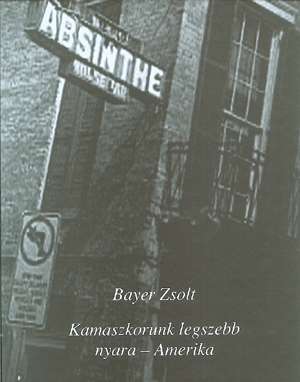 Kamaszkorunk legszebb nyara - Amerika