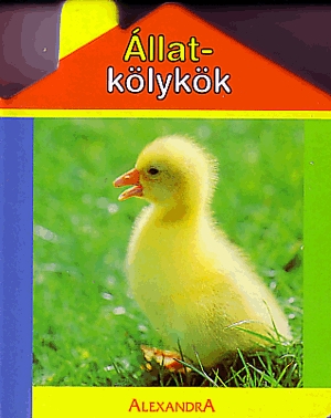 Állatkölykök