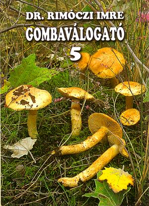 Gombaválogató 5.
