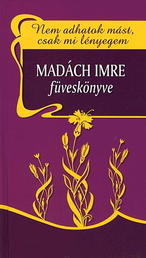 Nem adhatok mást, csak mi lényegem