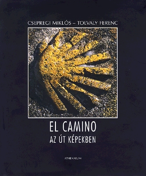 El Camino - Az út képekben