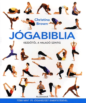 Jógabiblia