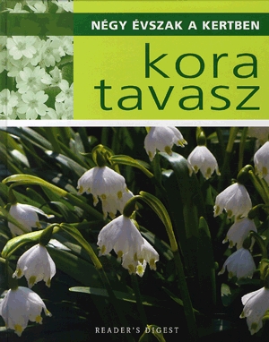 Kora tavasz