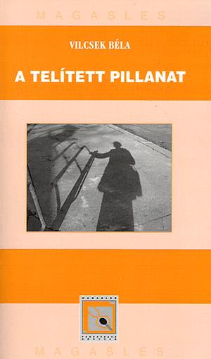 A telített pillanat