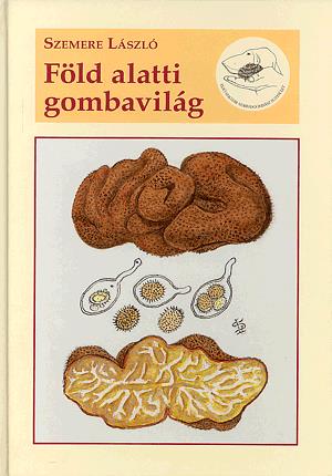 Föld alatti gombavilág