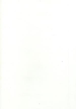 Magyar Lettre Internationale - 2007. Ősz