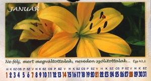 Falinaptár 2007.