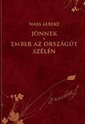 Jönnek - Ember az országút szélén