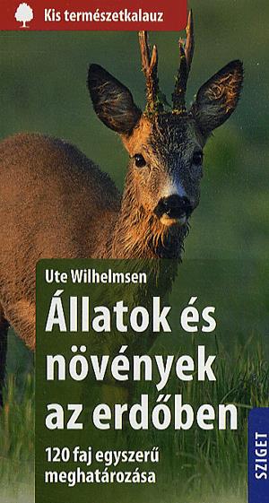 Állatok és növények az erdőben