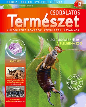 Csodálatos természet 13.