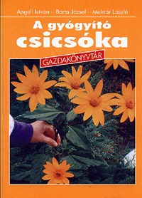 A gyógyító csicsóka