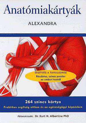 Anatómiakártyák - 264 színes kártya