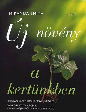 Új növény a kertünkben
