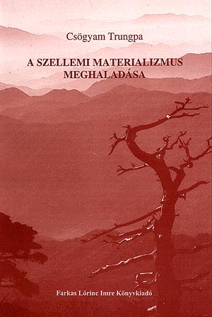 A szellemi materializmus meghaladása