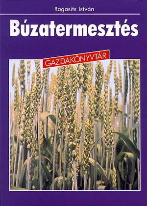 Búzatermesztés