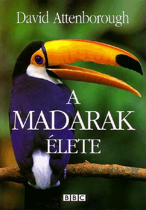 A madarak élete