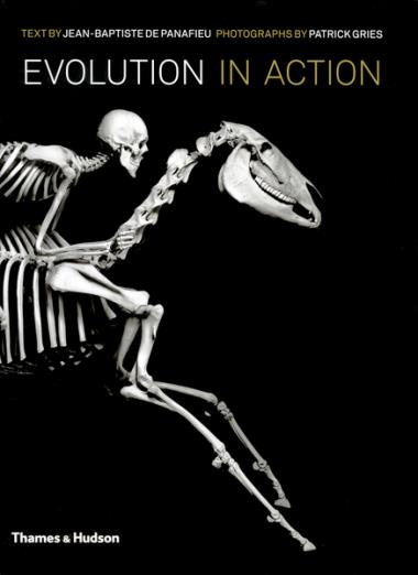 Evolution in Action - Natural History through Spectacular Skeletons