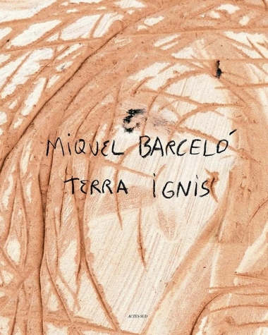 Miquel Barcelo - Terra Ignis