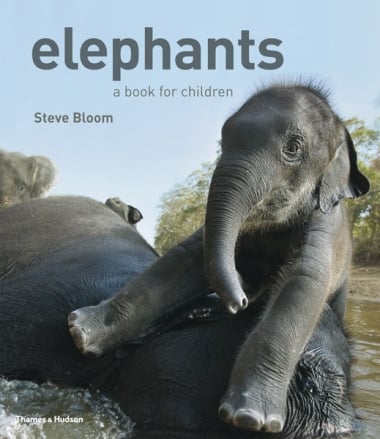Elephants - A Book for Children