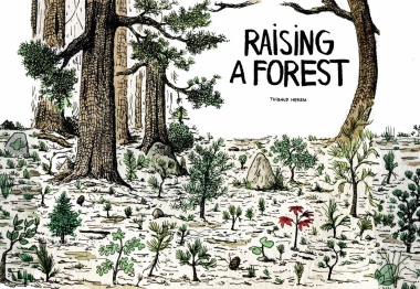 Raising a Forest