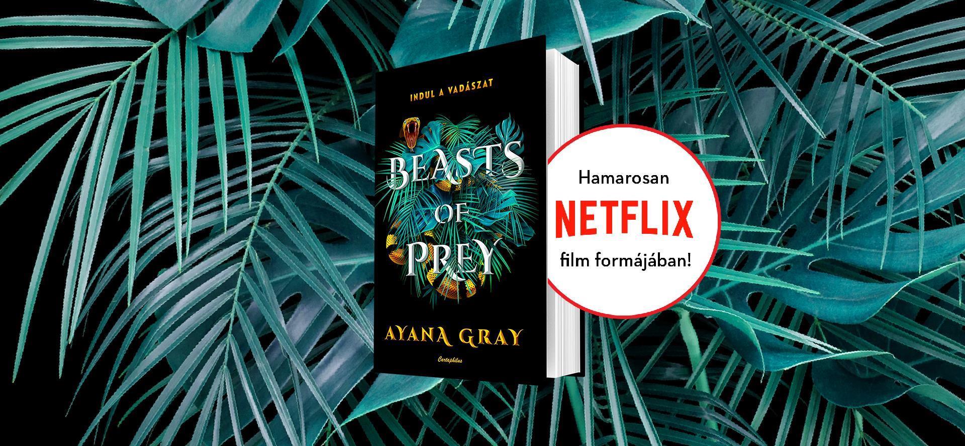 Végre magyarul is elérhető lesz Ayana Gray hatalmas nemzetközi népszerűségre szert tevő könyve, a Beasts of Prey – Indul a vadászat!