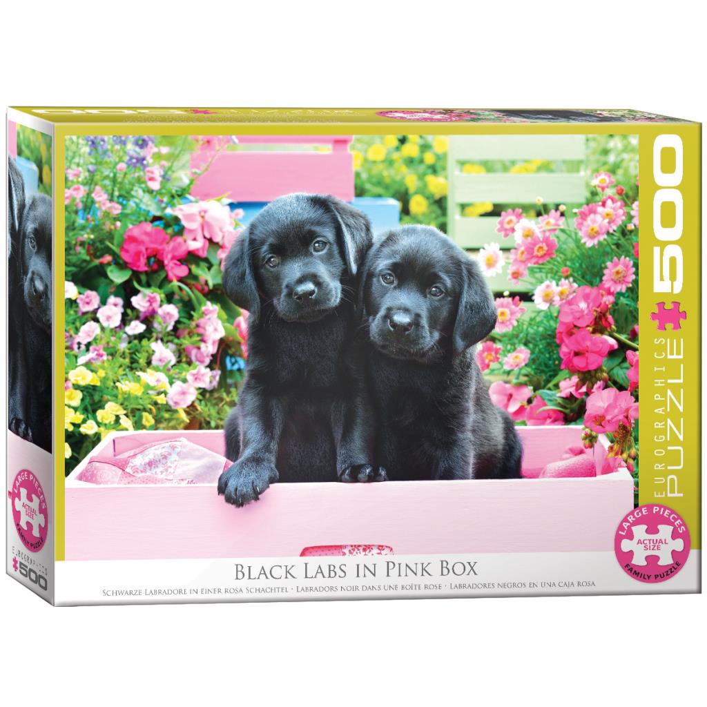 Fekete kiskutyák virágos háttérrel