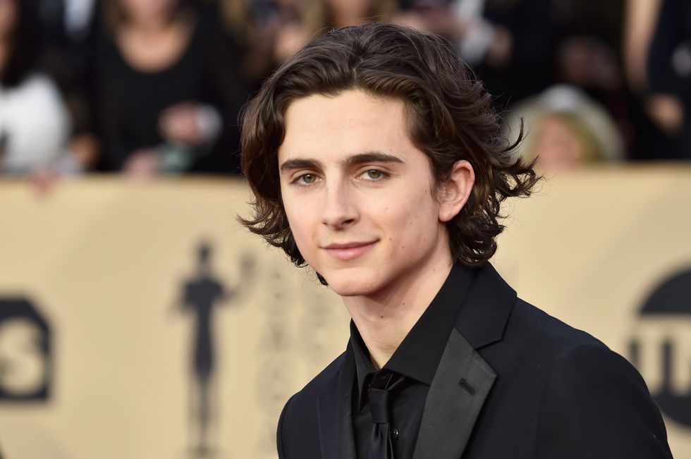 actor_timothee_chalamet_attends_the_24th_annual_screen_news_photo_1668010966.jpg
