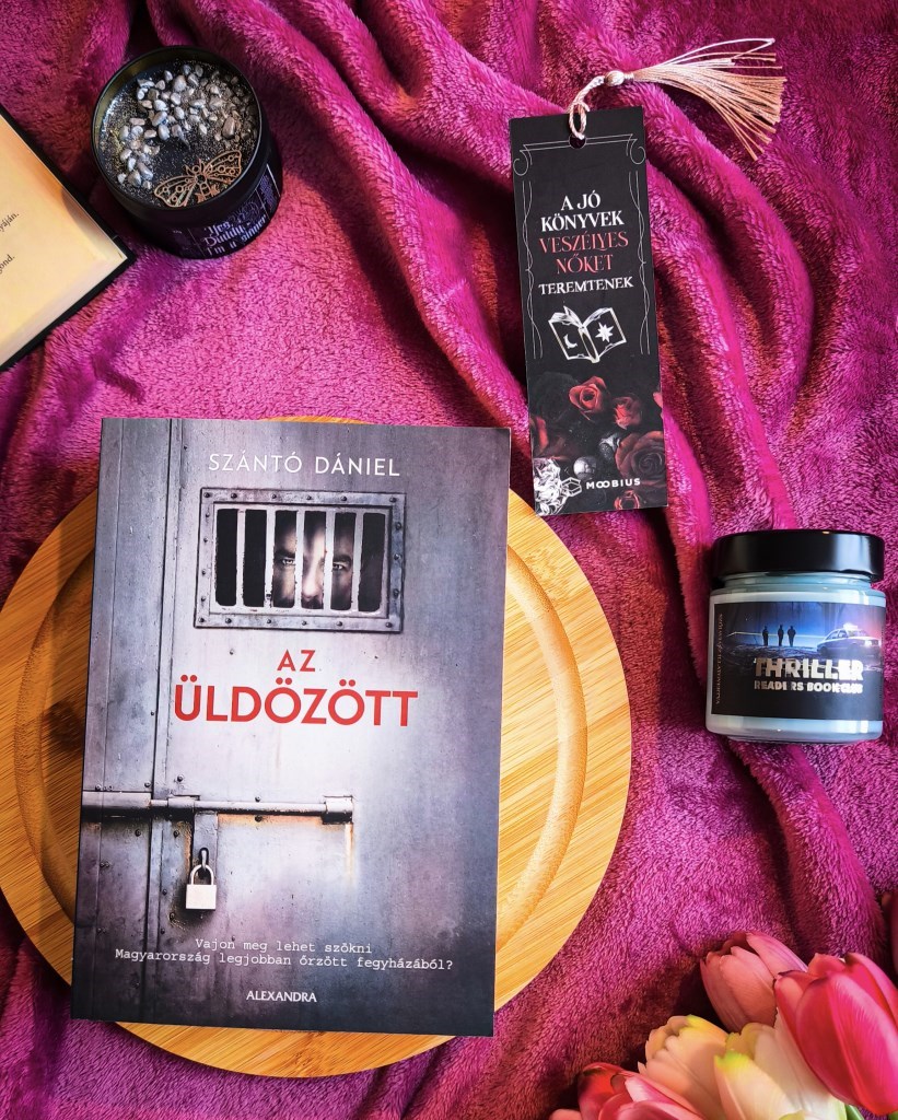 A Revans után úgy gondoltam, a szereplők kapcsán nem tud még nagyobb meglepetést elénk tárni Szántó Dani, hát nagyot tévedtem. 