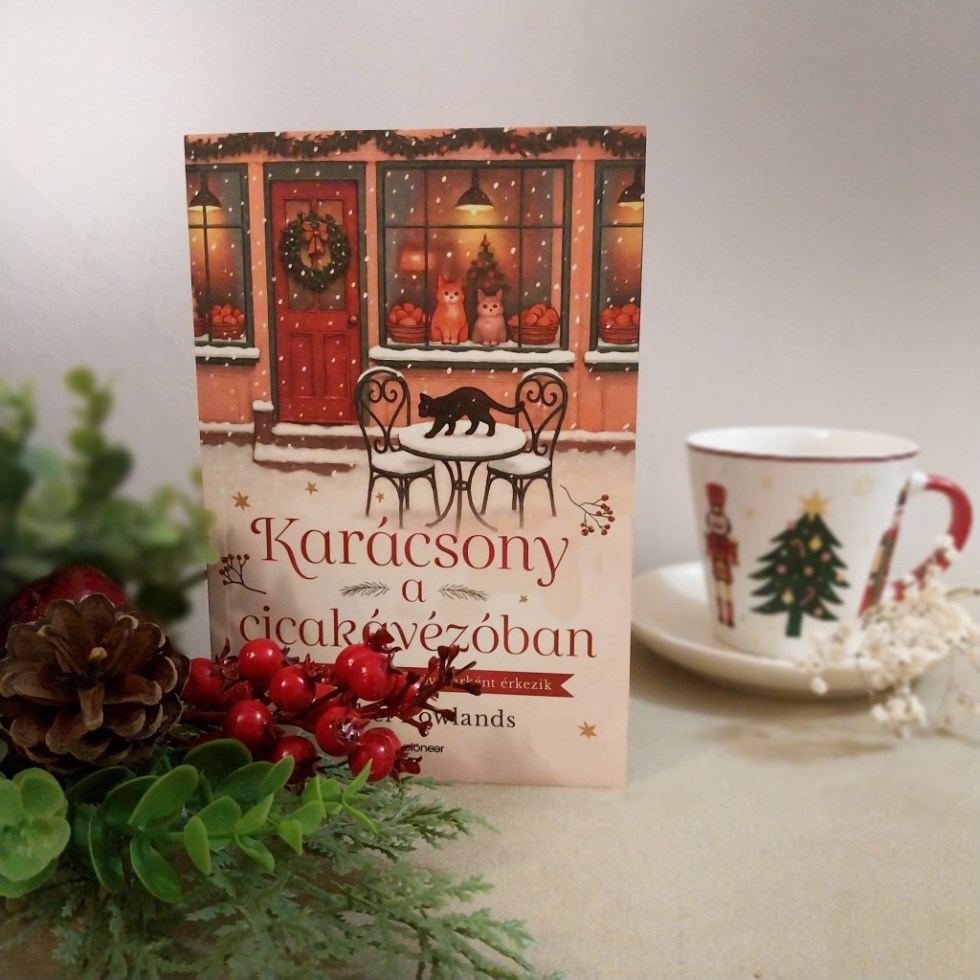 Egy különleges történet, mely egyből elhozza az ünnepi hangulatot.

Emmie és Jared a múltjuk elől menekülnek. 