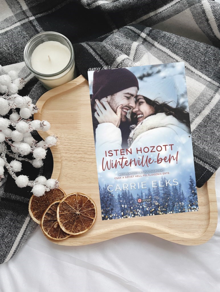 Holly Winter mindent megtesz, hogy megvédje szülővárosát a könyörtelen cégvezértől, Josh Gerbertől, aki síparadicsommá akarja alakítani Winterville-t, ráadásul egy régi, közös éjszaka emléke is bonyol