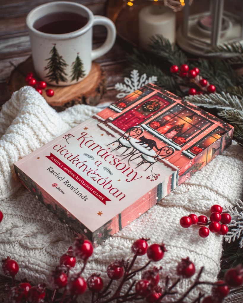 Cuki karácsonyi történet két, traumákkal küzdő fiatal egymásra találásáról.