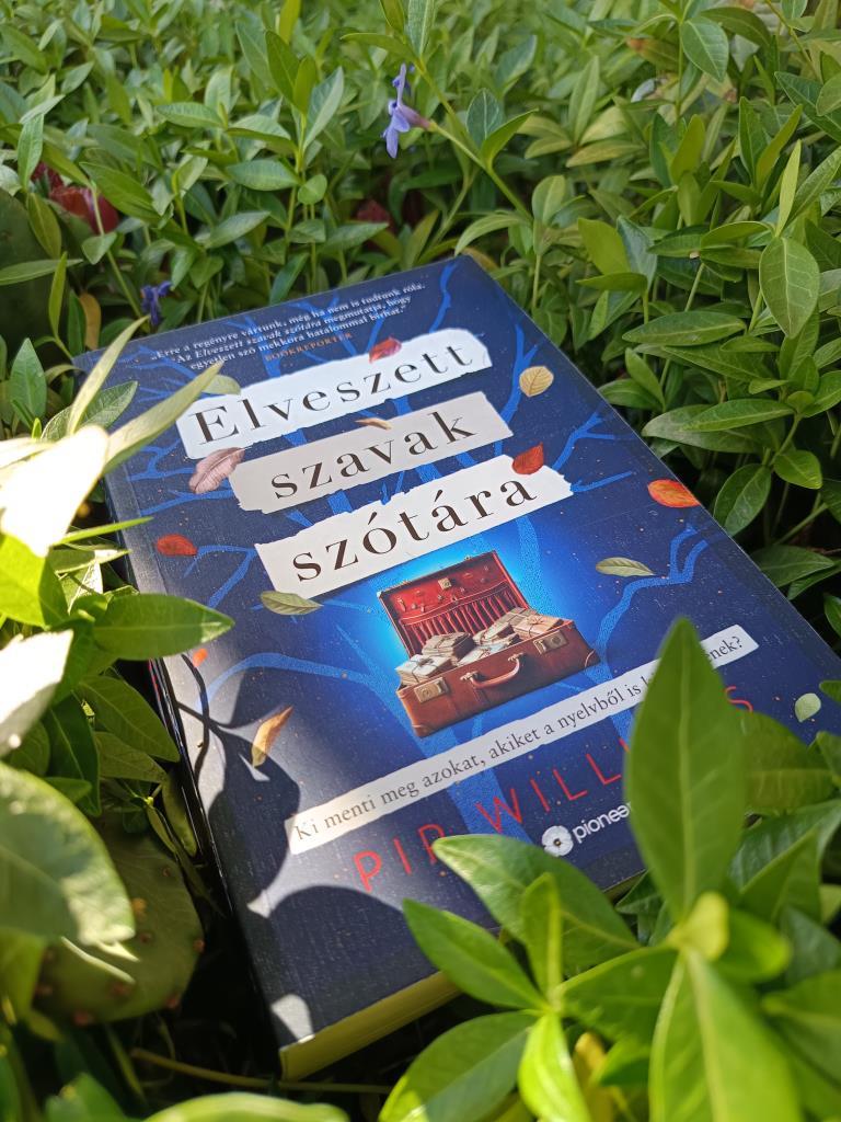 „Gyakran eltűnődtem, vajon engem milyen papírra írnának, ha szó lennék. 