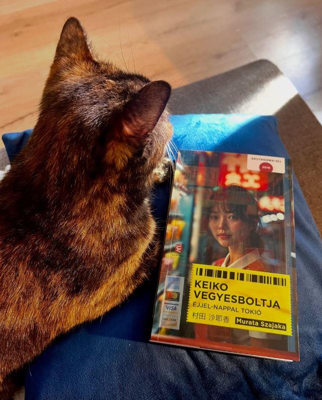 A szabályos világ nem tűri a kivételeket, és csendben kiveti magából az idegen testet. 