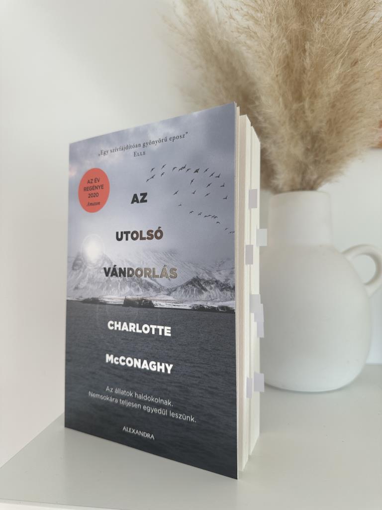 „Néha az ember nem a világot keresi, hanem önmagát.”

Channon McConaghy Az utolsó vándorlás című regénye egy lenyűgözően lírai és sötéten aktuális történet a veszteségről, az emberi kapcsolatok töréke