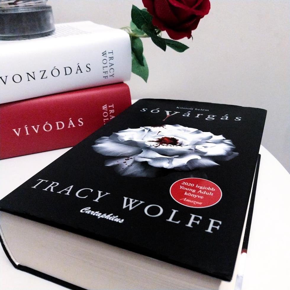 Egy lehengerlő fantasy történet vámpírokról, sárkányokról és egy lányról akinek egyik napról a másikra, teljesen megváltozik az élete.

Grace a vesztesége után bekerül egy bentlakásos iskolába, a Katm