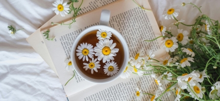 Healing Fiction – A gyógyító irodalom műfaja