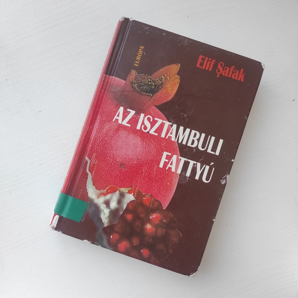Az Isztambuli fattyú nemcsak regény, hanem identitástérkép. 