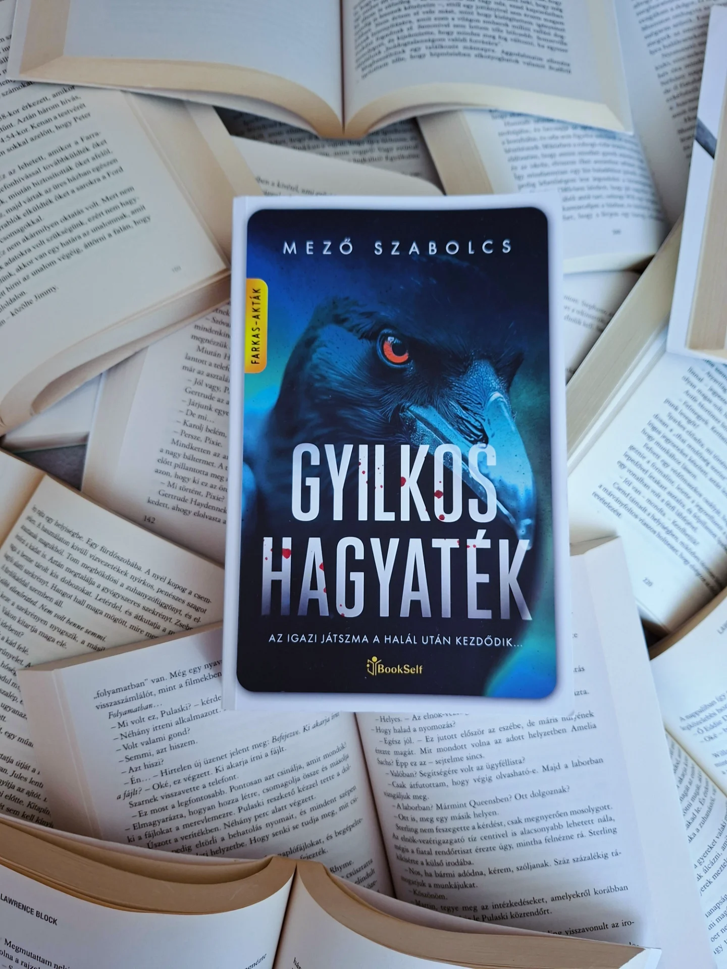 A történet egy nagyon különös gyilkossággal indul, amelyet Farkas Róbert ügyész és Szűcs Gábor főhadnagy nem is nagyon tud mire vélni. 