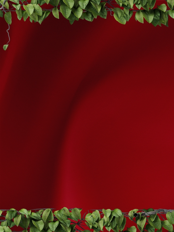 Felkavaróan érzelmes és rejtélyekkel átszőtt regény.