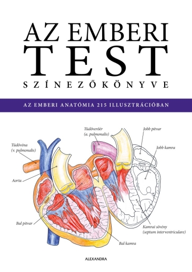 Az emberi test színezőkönyve